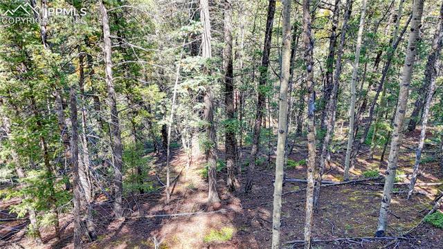 Photo 14 of 959 Calcite Drive, Divide