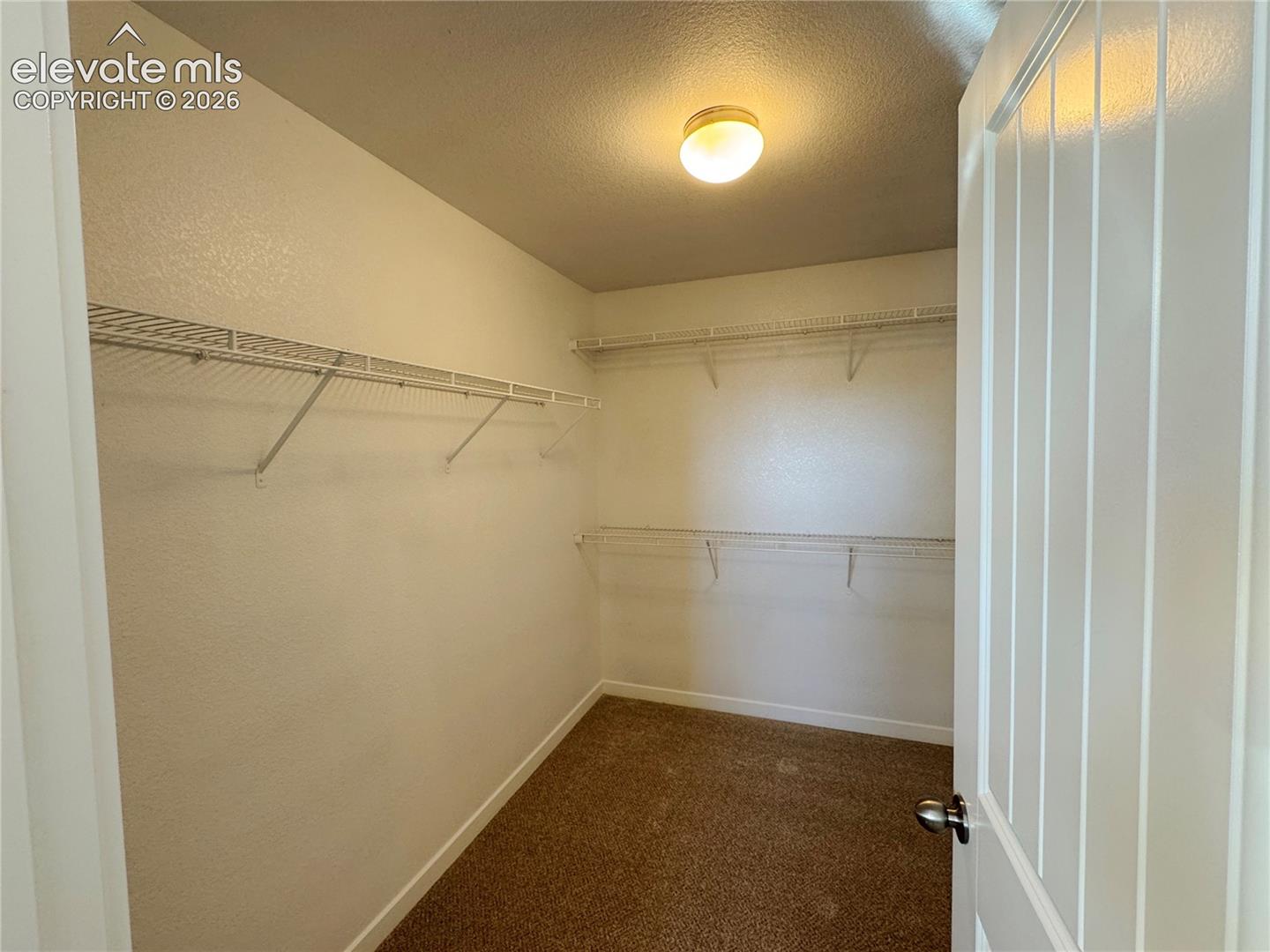 Walk-in storage space featuring carpeted flooring, tiered wire shelving, and a ceiling-mounted light fixture
