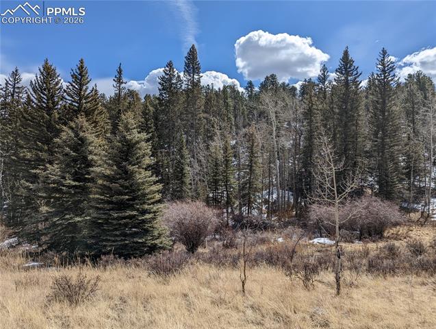 Photo 11 of 1620 Park Ridge Drive, Guffey