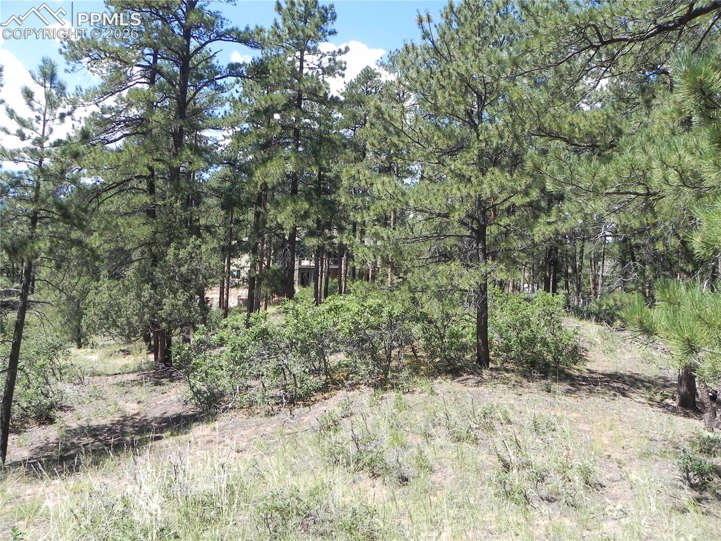 Photo 16 of 4144 Cheyenne Drive, Larkspur