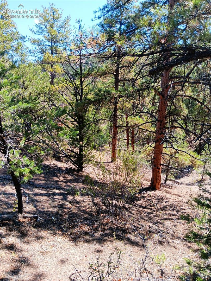 TR-21 43rd Trl, Cotopaxi, CO 81223