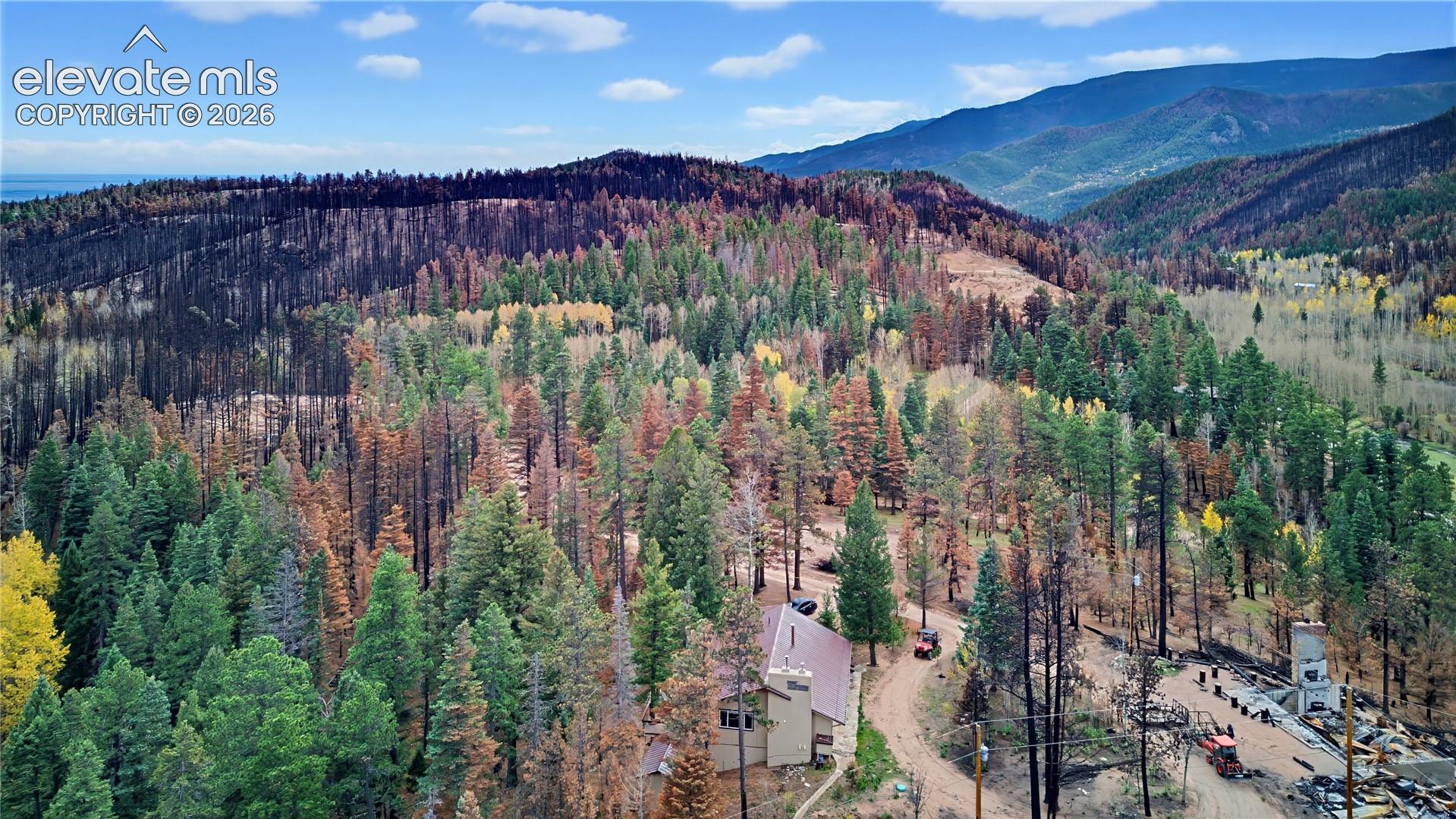 Expansive acreage featuring mature evergreen and deciduous trees, mountainous terrain, and an earthen driveway