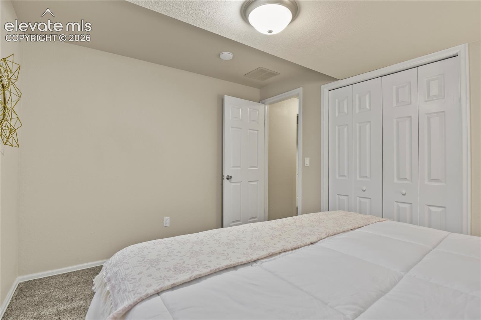 Neutral wall tones, carpeted flooring, built-in dual-panel closet doors, and a ceiling-mounted light fixture