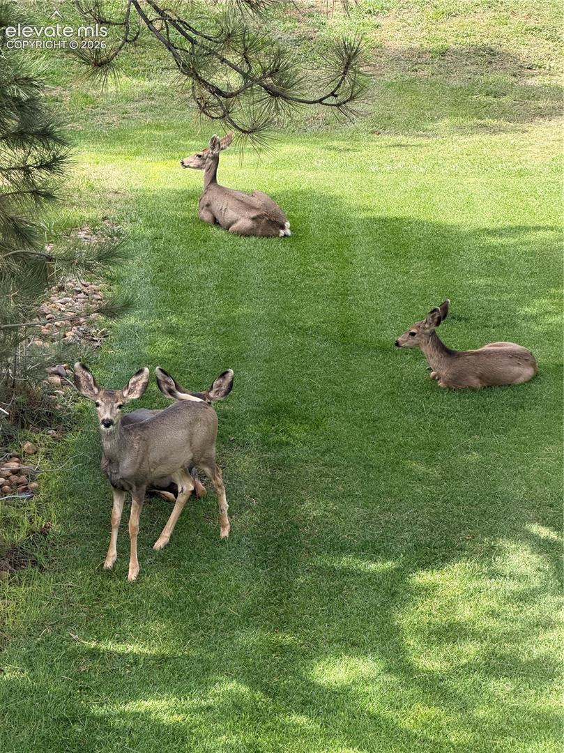 Abundant Wildlife!