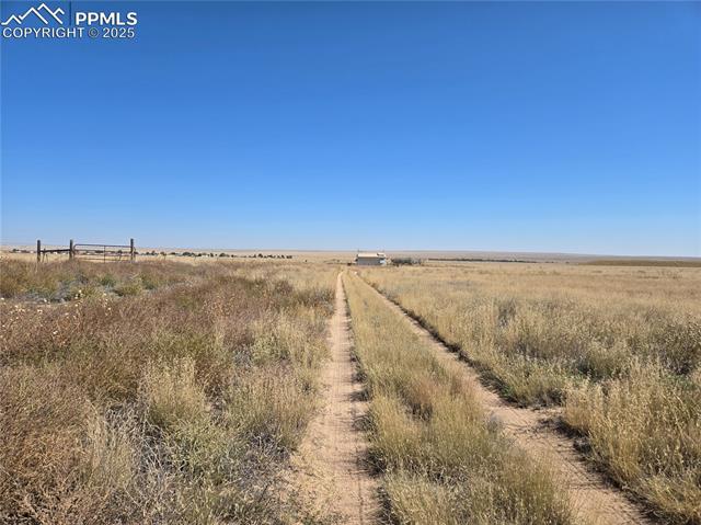 View of local wilderness with a rural view