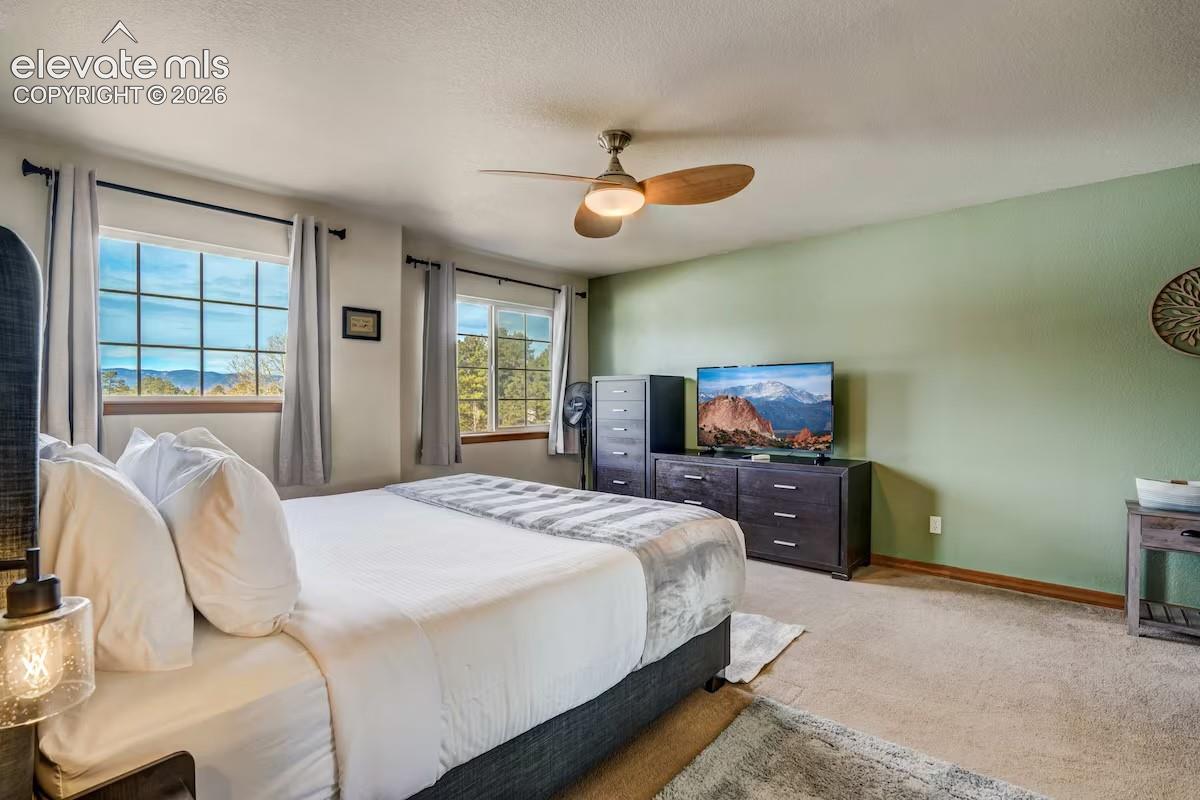 Room featuring two grid-pattern windows with mountain scenery, a ceiling fan with integrated lighting, a soft green accent wall, and neutral carpeting