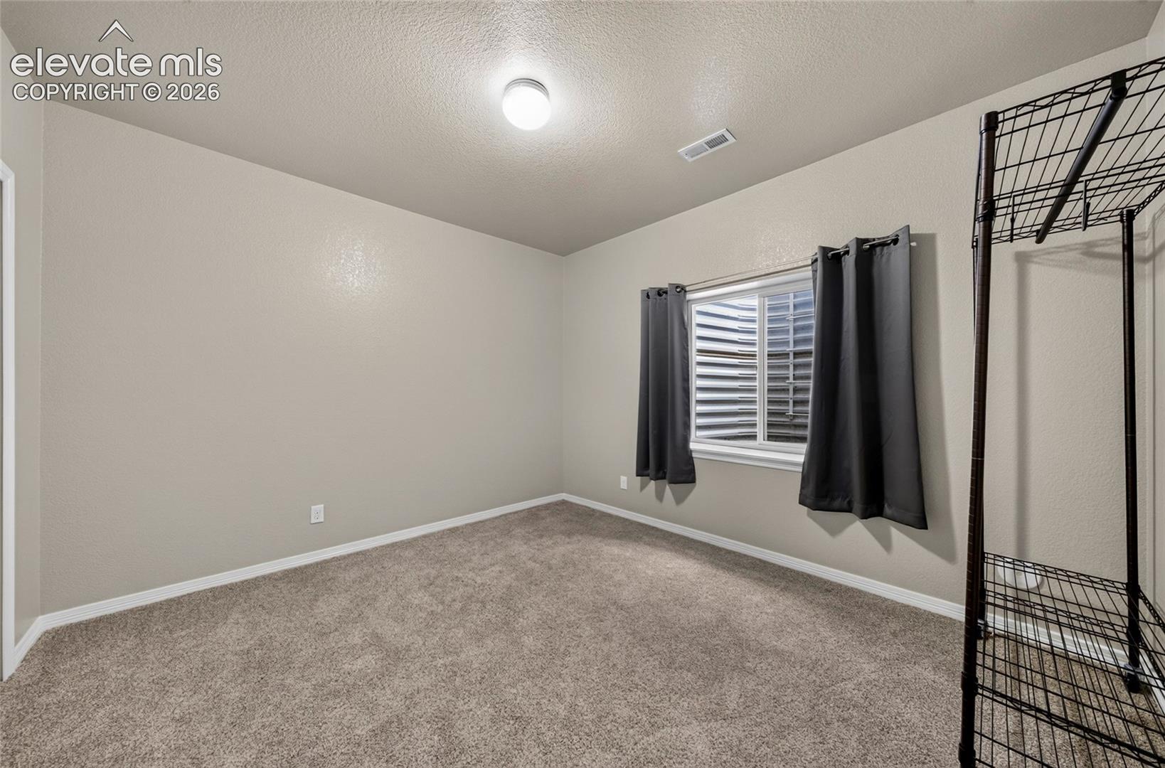 Lower level bedroom