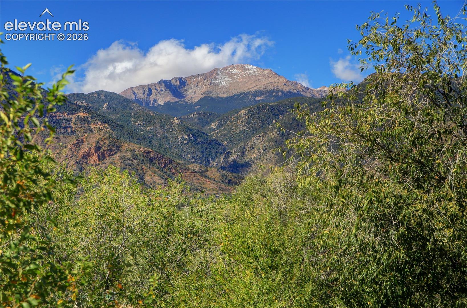 Mountain terrain backdrop featuring expansive slopes and mature, lush vegetation