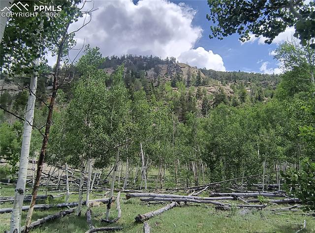 View of mountain backdrop featuring a forest