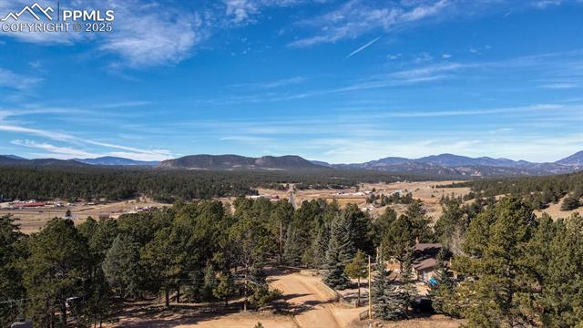 View of mountain background featuring a heavily wooded area