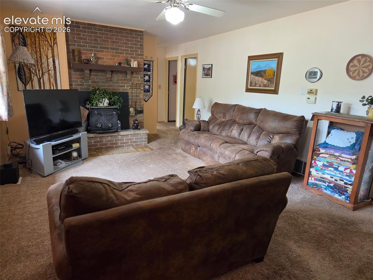 741 Elfin Glen Dr, Divide, CO 80814