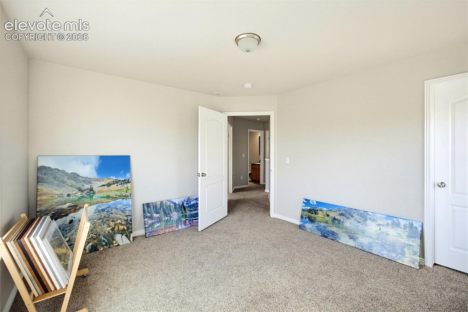 Neutral-toned interior featuring wall-to-wall carpeting, two interior doors with panel detailing, and a flush-mount ceiling light fixture