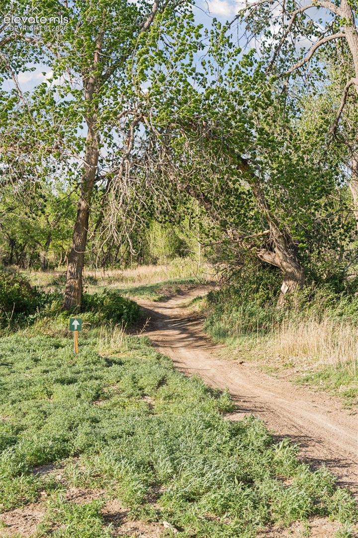 Marked trail paths that wind into a mature cottonwood forest