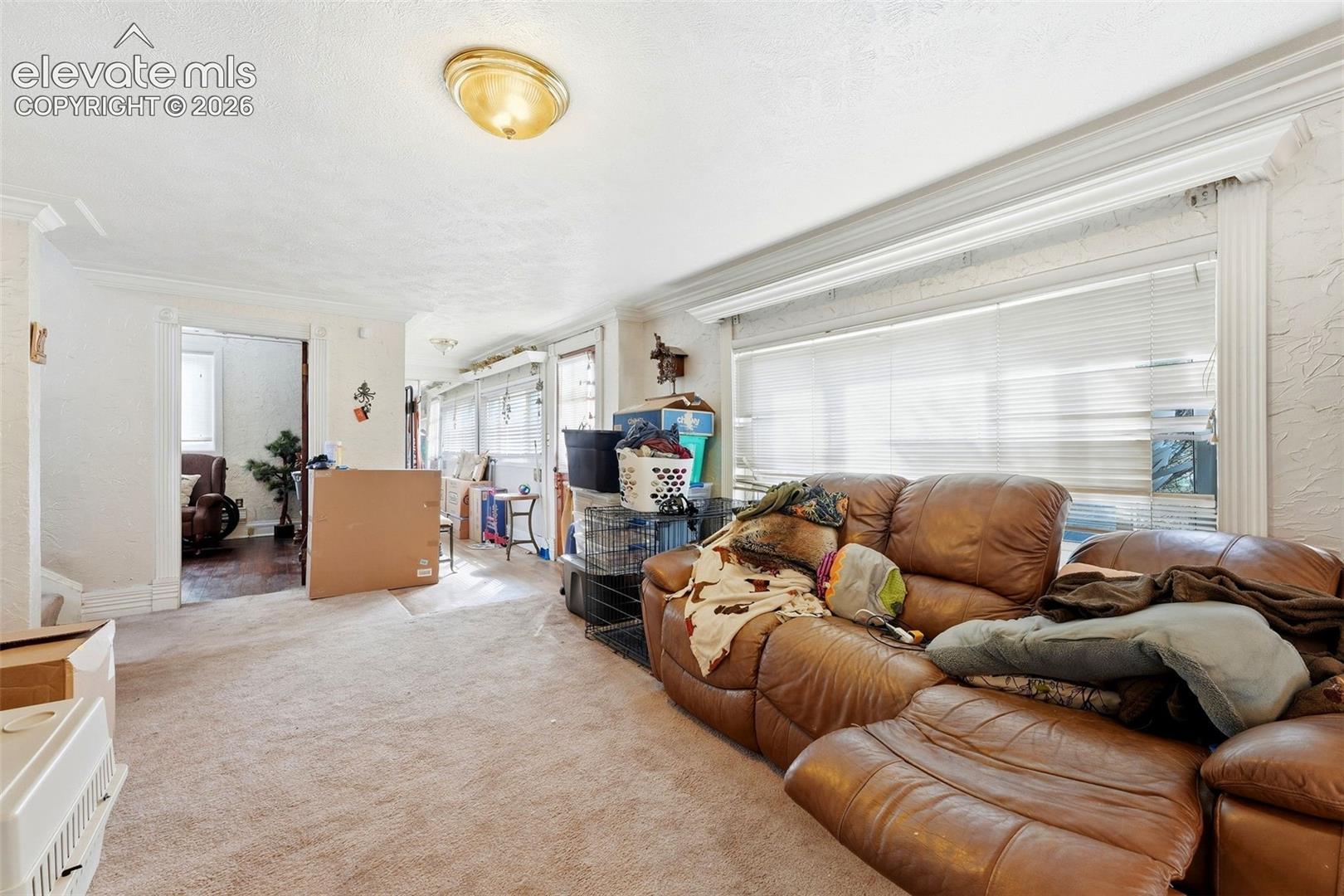 Carpeted room with a flush mount ceiling light fixture, crown molding, and large windows