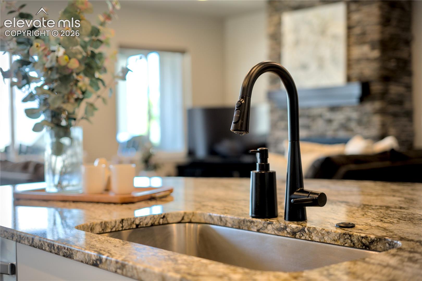 Photo 16 of 1179 Charismatic Way, Colorado Springs
