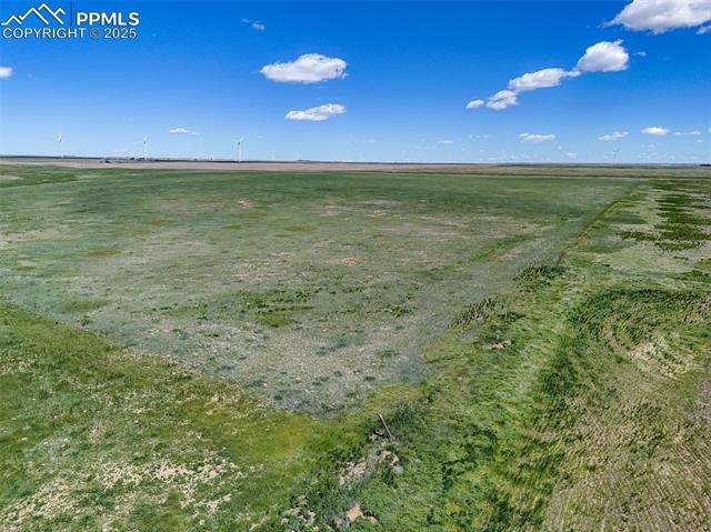 Southeast corner of the 340 AC parcel, looking north.