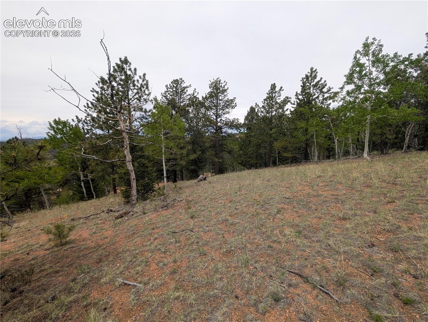 Photo 22 of 16 Princess Lane, Cripple Creek