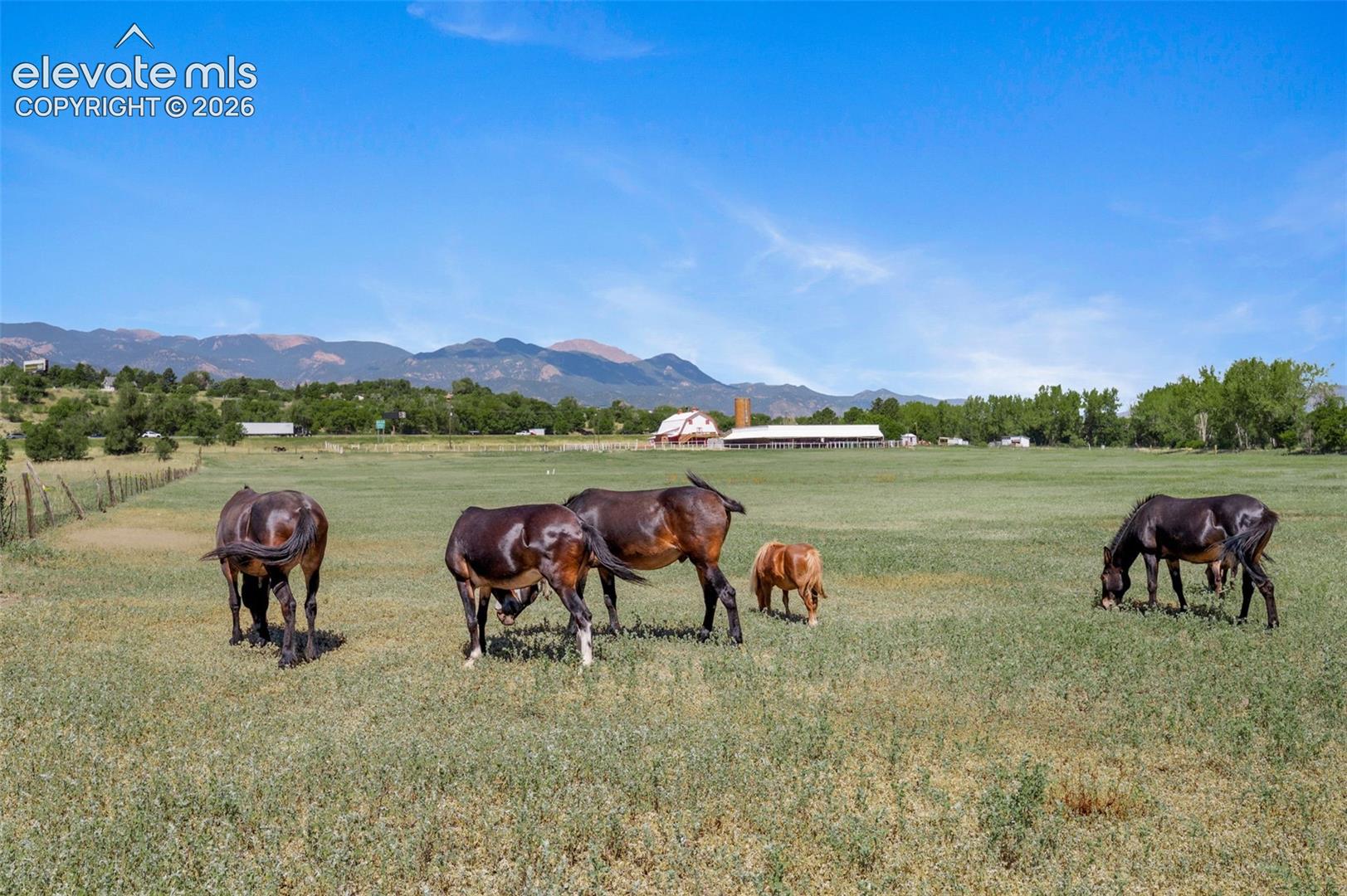 Photo 38 of 3415 Janitell Road, Colorado Springs