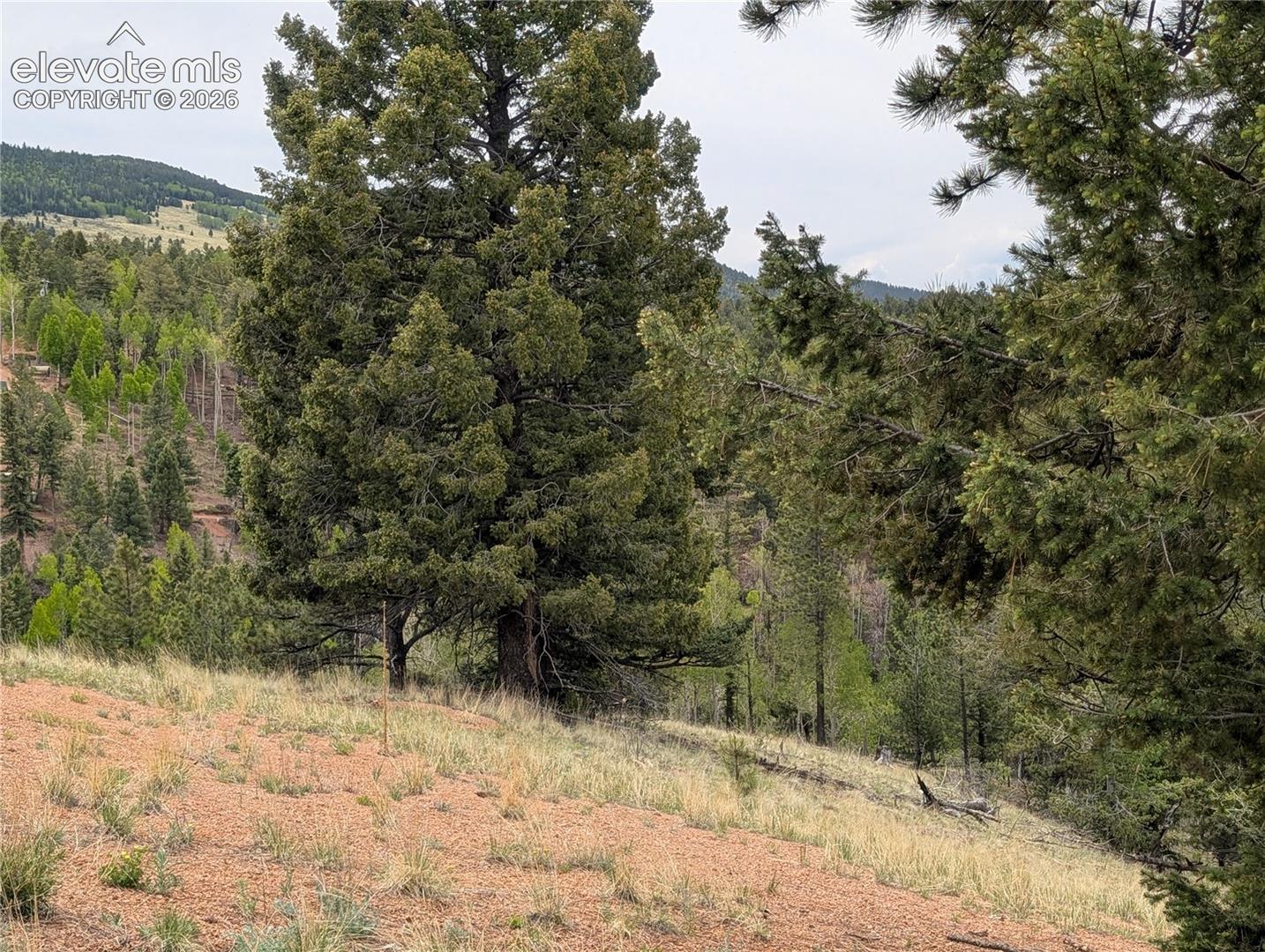 Photo 9 of 16 Princess Lane, Cripple Creek