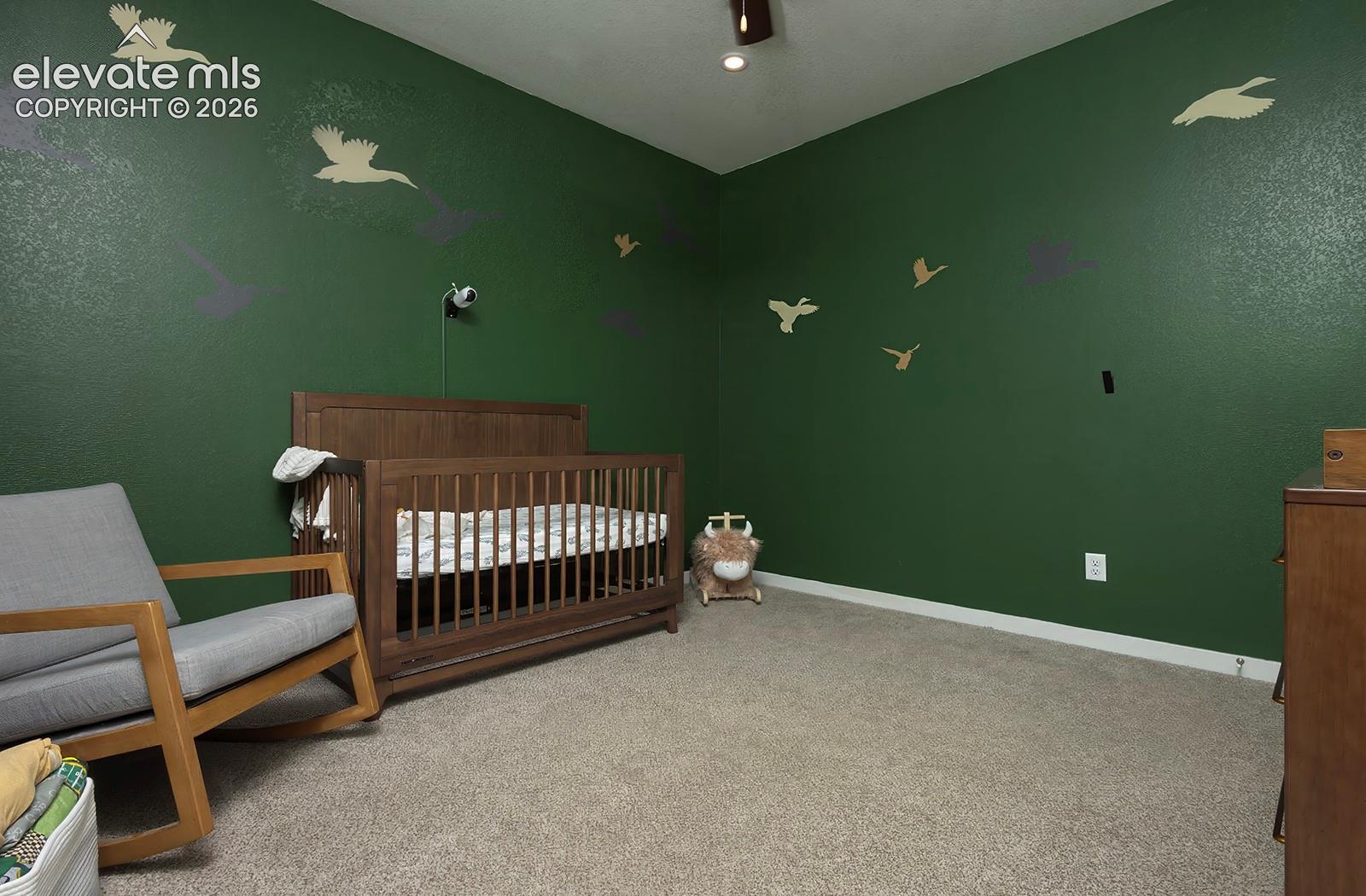 Photo 21 of 9828 Pennycress Drive, Colorado Springs