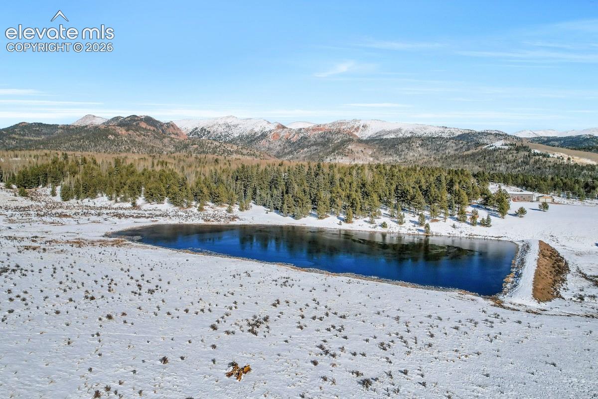 Expansive acreage featuring a private pond, mature evergreen forest, and rugged mountain backdrop
