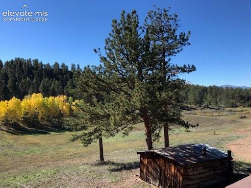 Expansive acreage featuring mature pine trees, deciduous foliage, and a rustic log structure with a metal roof