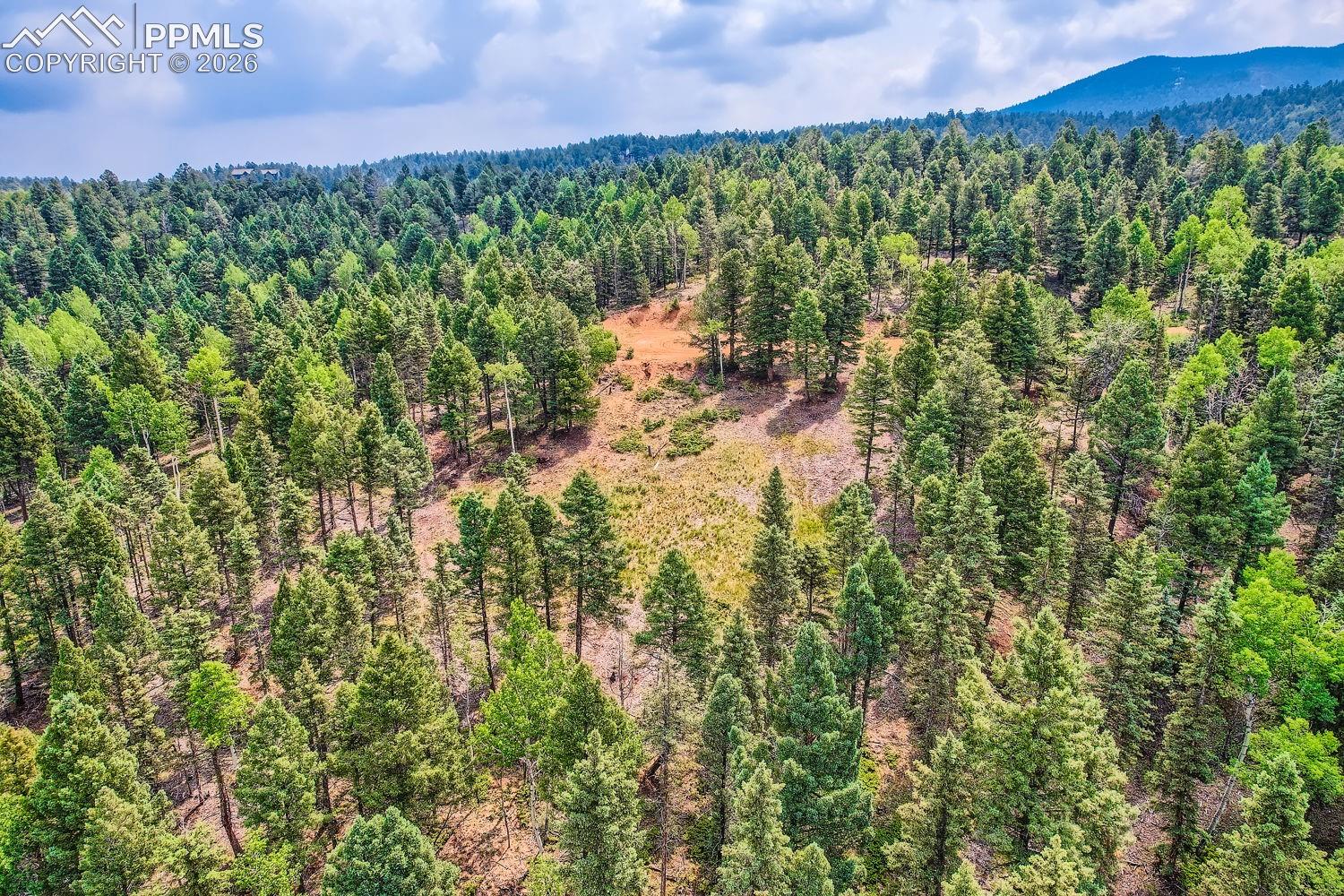 Photo 12 of 4600 Elk Valley Road, Divide