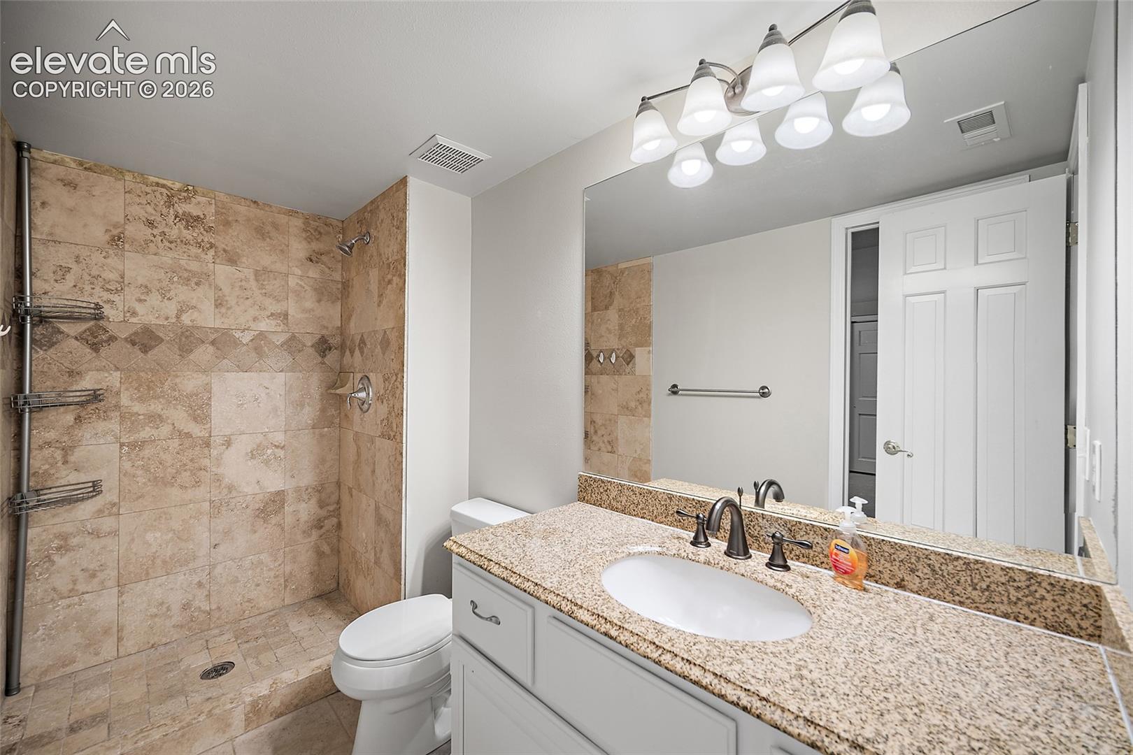 Basement Bathroom 