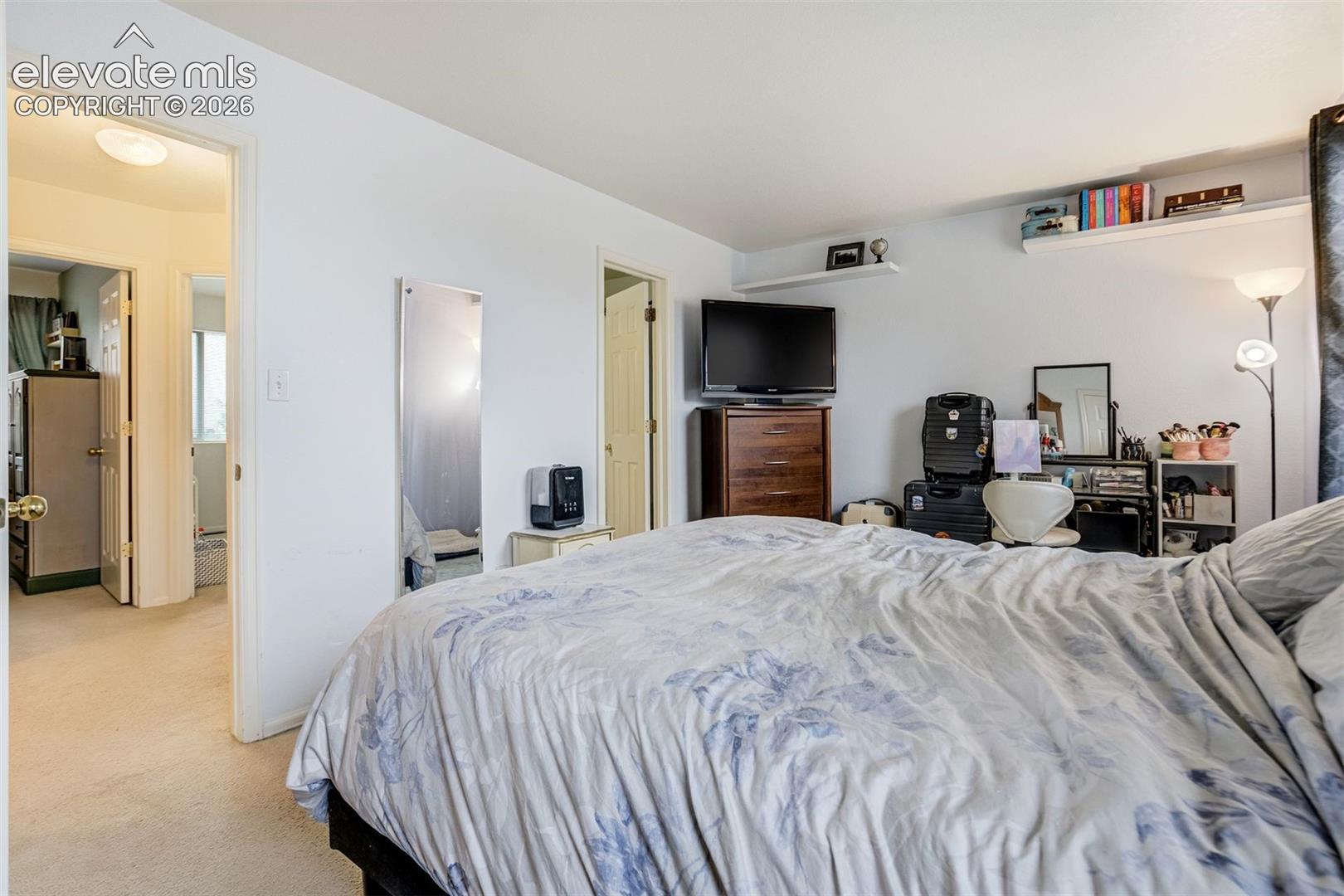 Plush carpeting, recessed ceiling lighting, and built-in shelving