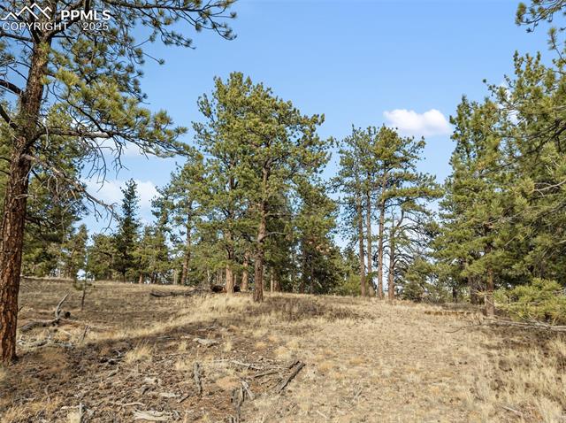 View of undeveloped land