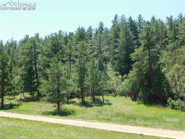 Photo 20 of 4668 Comanche Drive, Larkspur