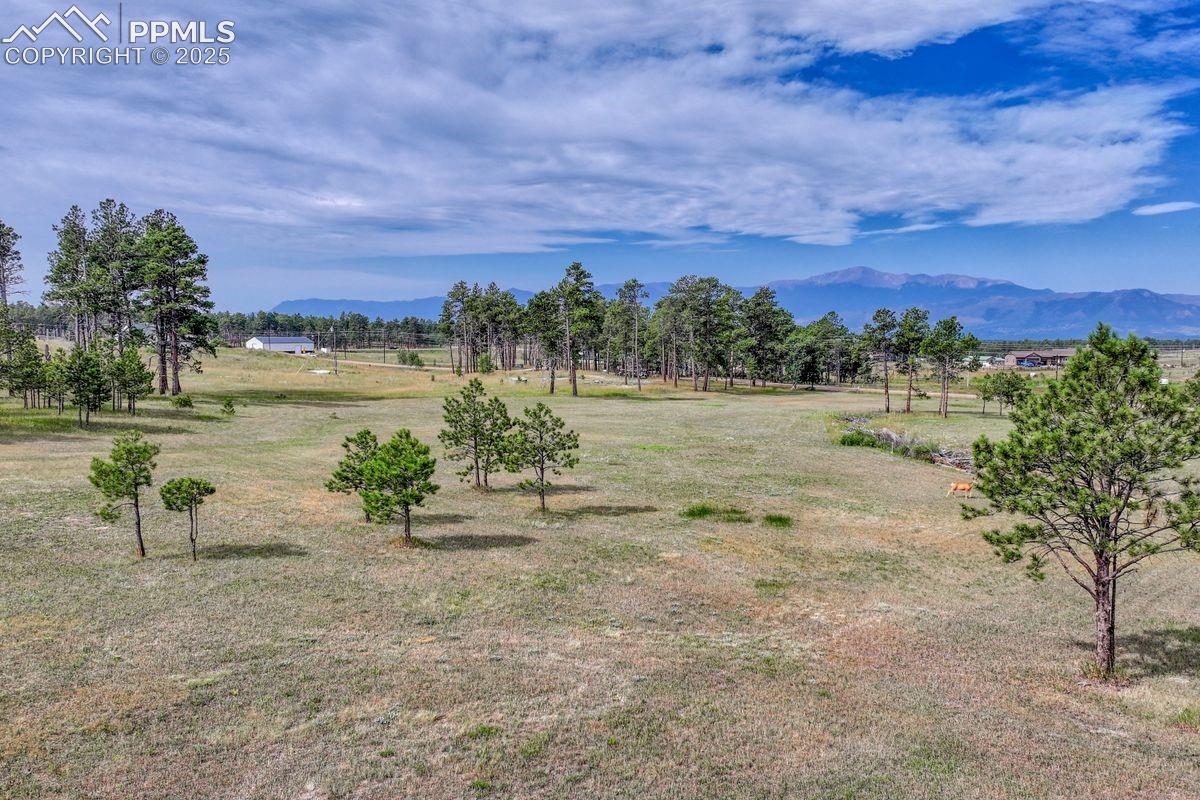 Photo 10 of LOT 4 Forest Heights Circle, Colorado Springs