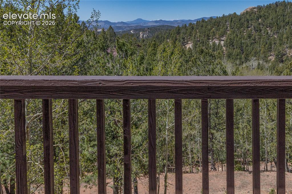 265 Homestead Rd, Divide, CO 80814