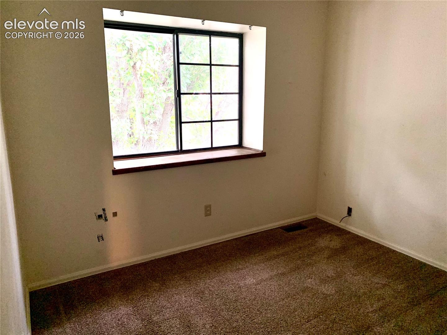 Window with dark frames, wood-finish window sill, and carpeted flooring