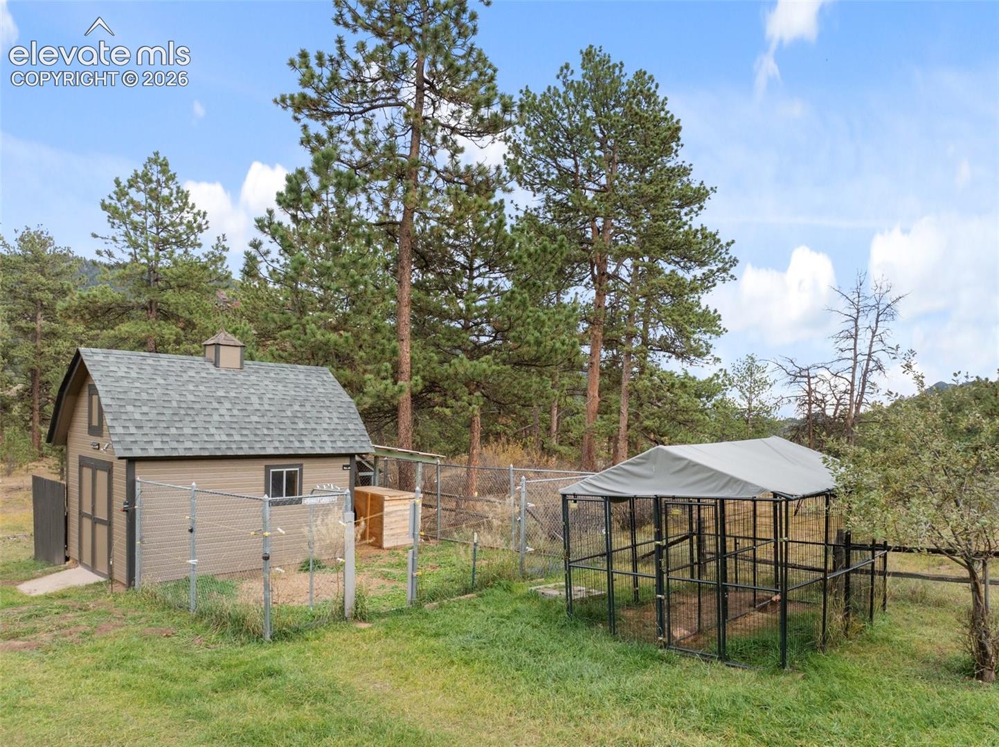 Storage shed and dog run