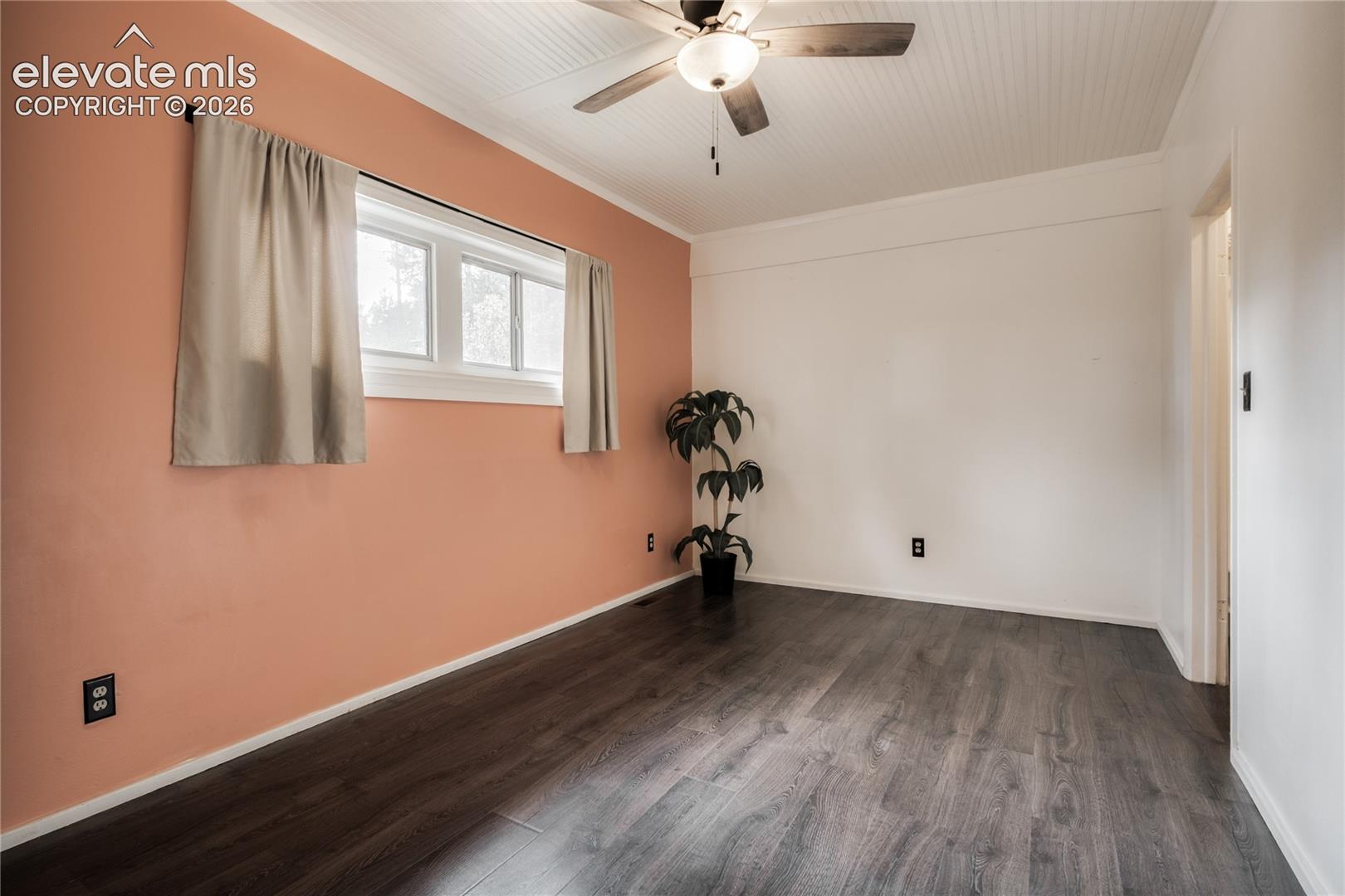 Primary bedroom is nicely sized and has a walk-in closet!
