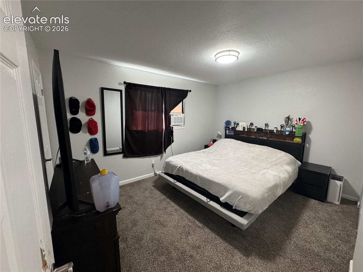 Carpeted flooring, window with privacy coverings, ceiling-mounted light fixture, and neutral-toned walls