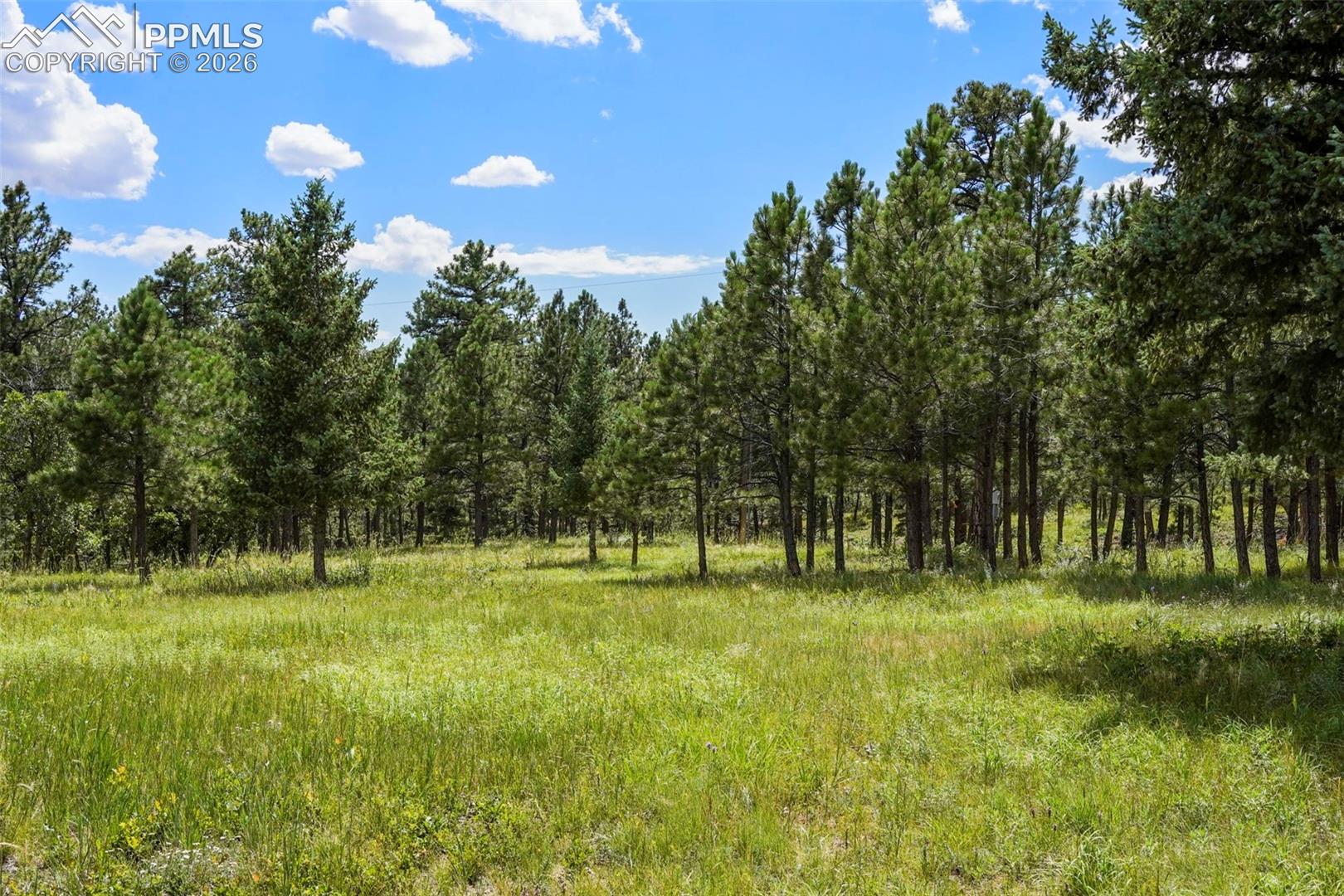 Photo 10 of 325 Pine Oaks Road, Colorado Springs