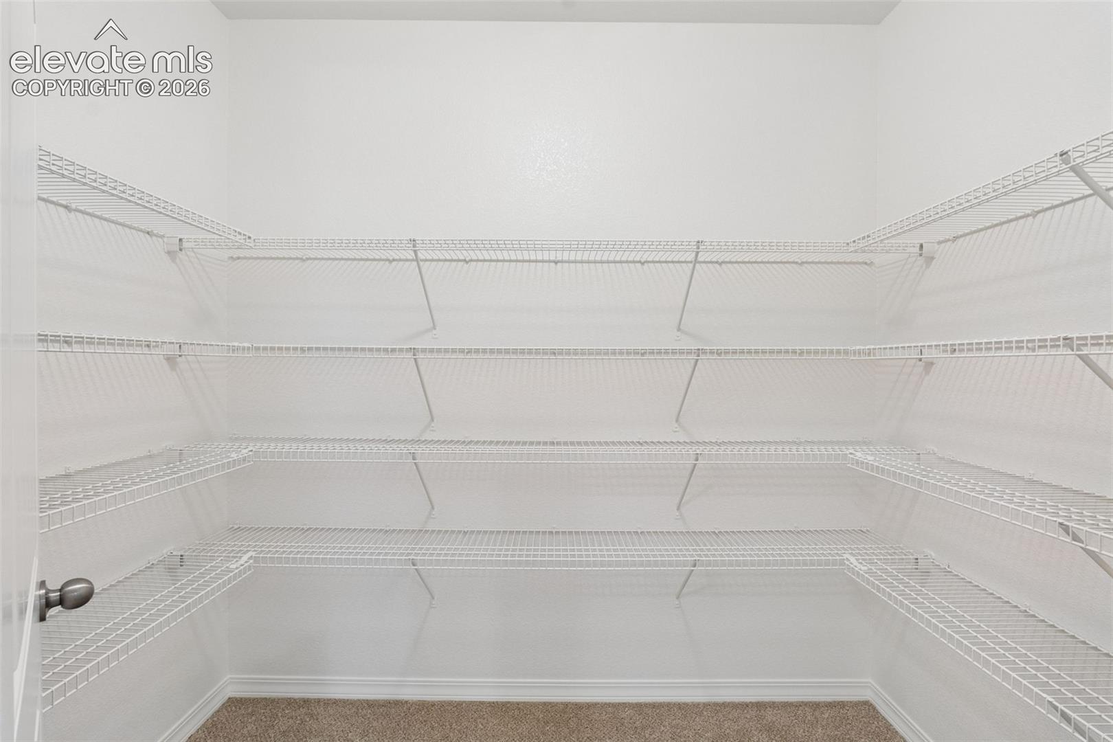 Storage Closet in Basement