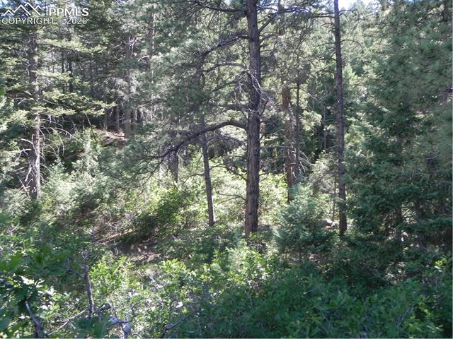 Photo 7 of 8117 Acoma Drive, Larkspur