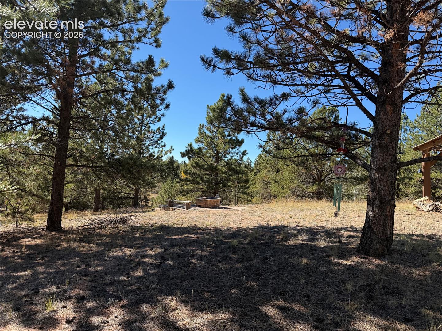 Expansive lot featuring mature pine trees and a stone-encased fire pit