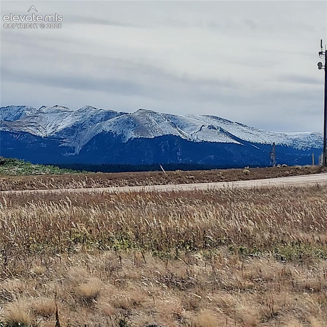 Pikes Peak from entrance of driveway