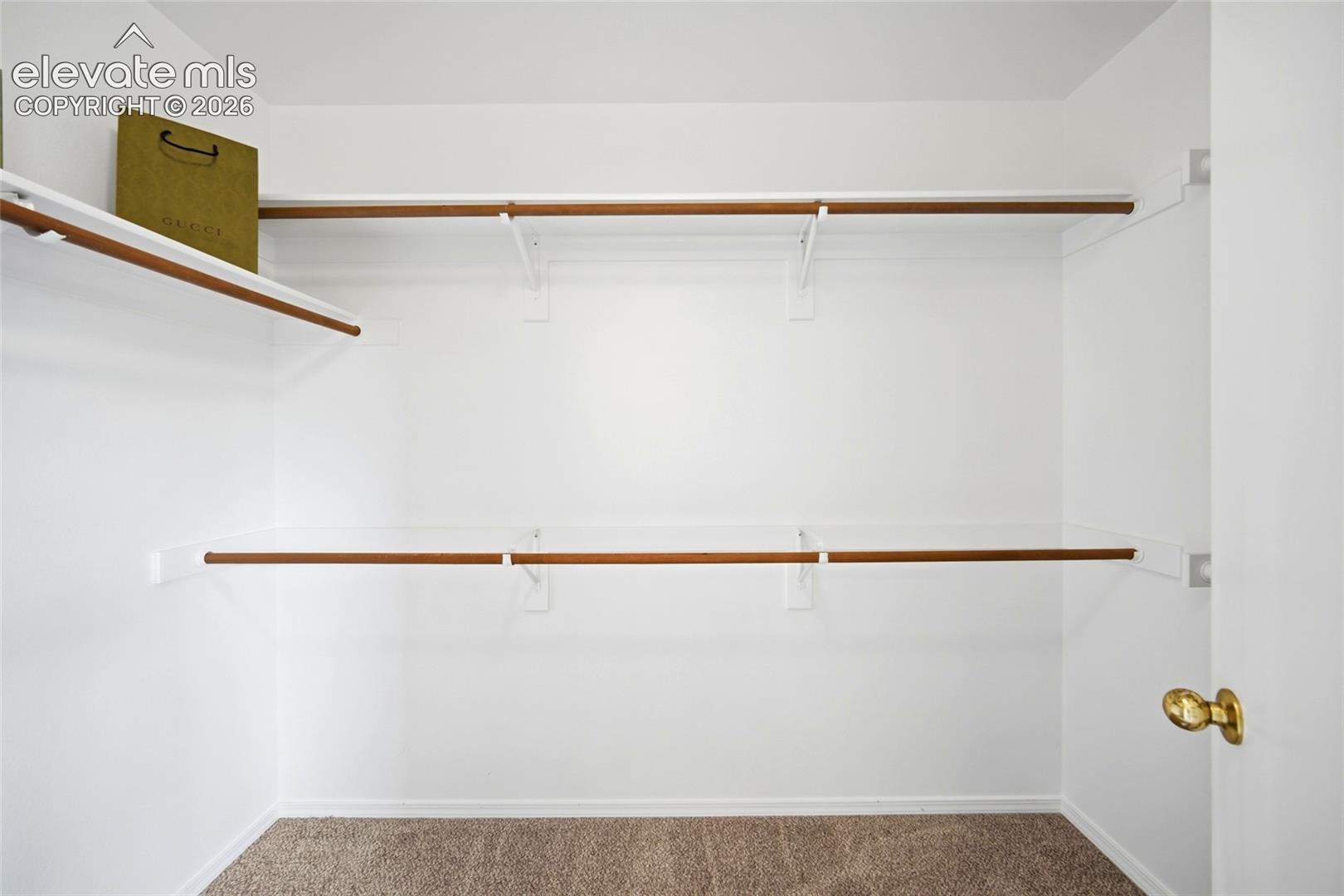 Walk-in closet featuring dual-level hanging rods, white shelving, and wall-to-wall carpeting
