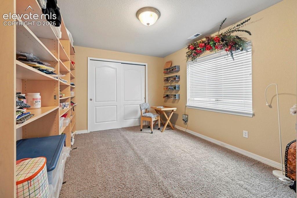 Basement bedroom