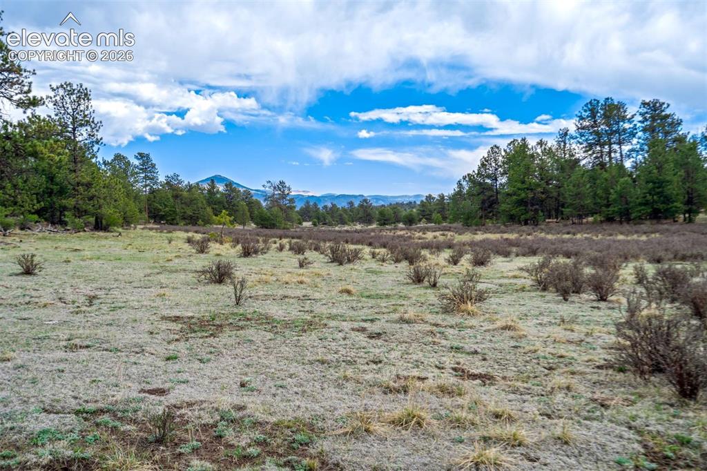 Photo 13 of Tract 103 Doe Valley Road, Guffey