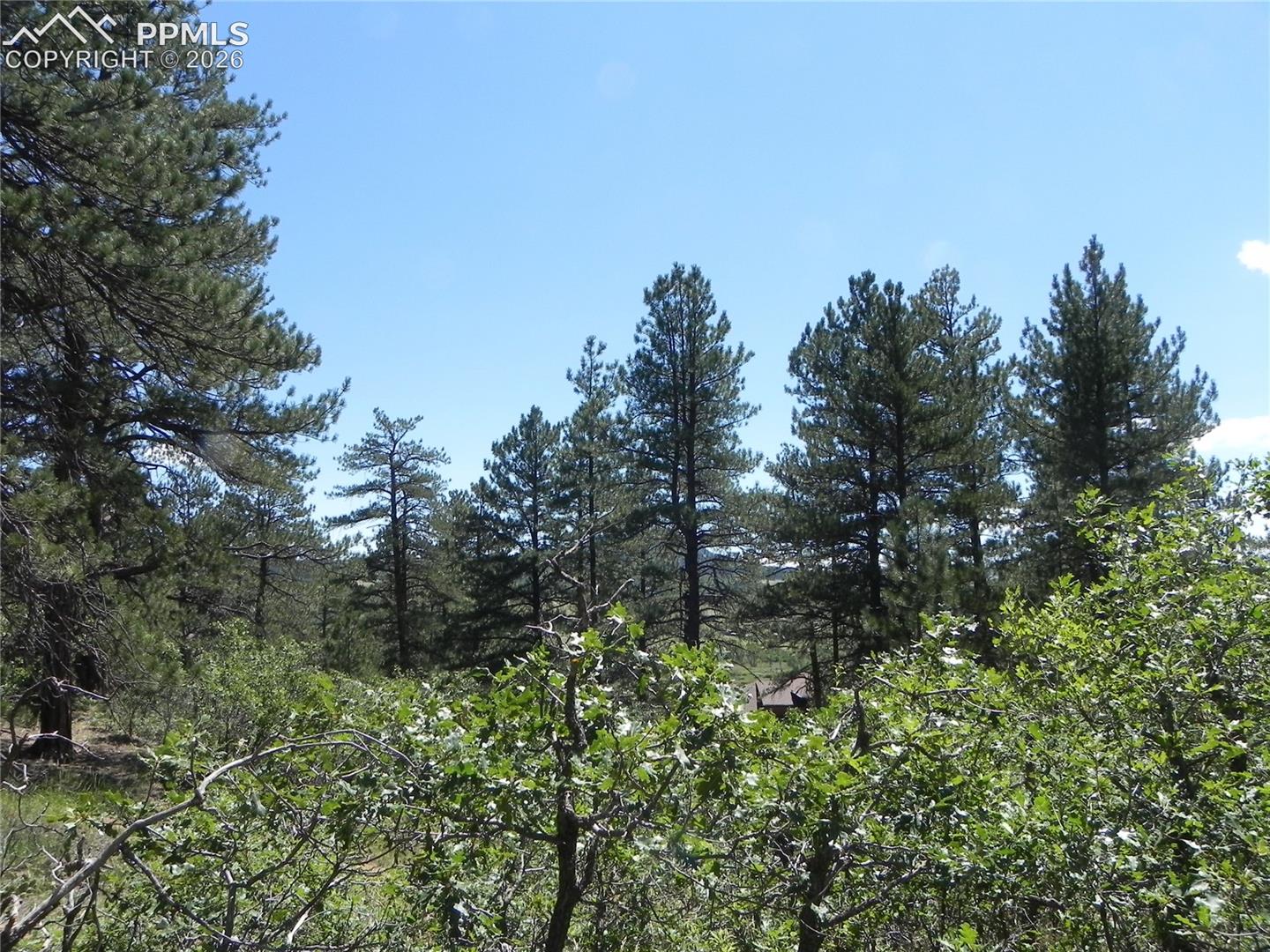 Photo 21 of 4144 Cheyenne Drive, Larkspur