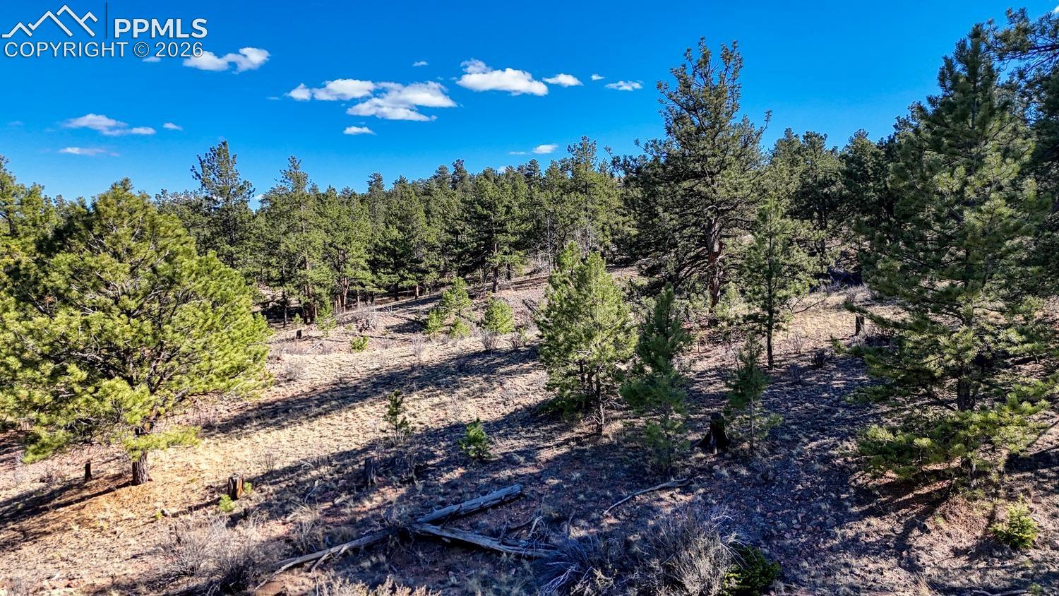 Photo 11 of Lot 5124 Arikara Trail, Hartsel