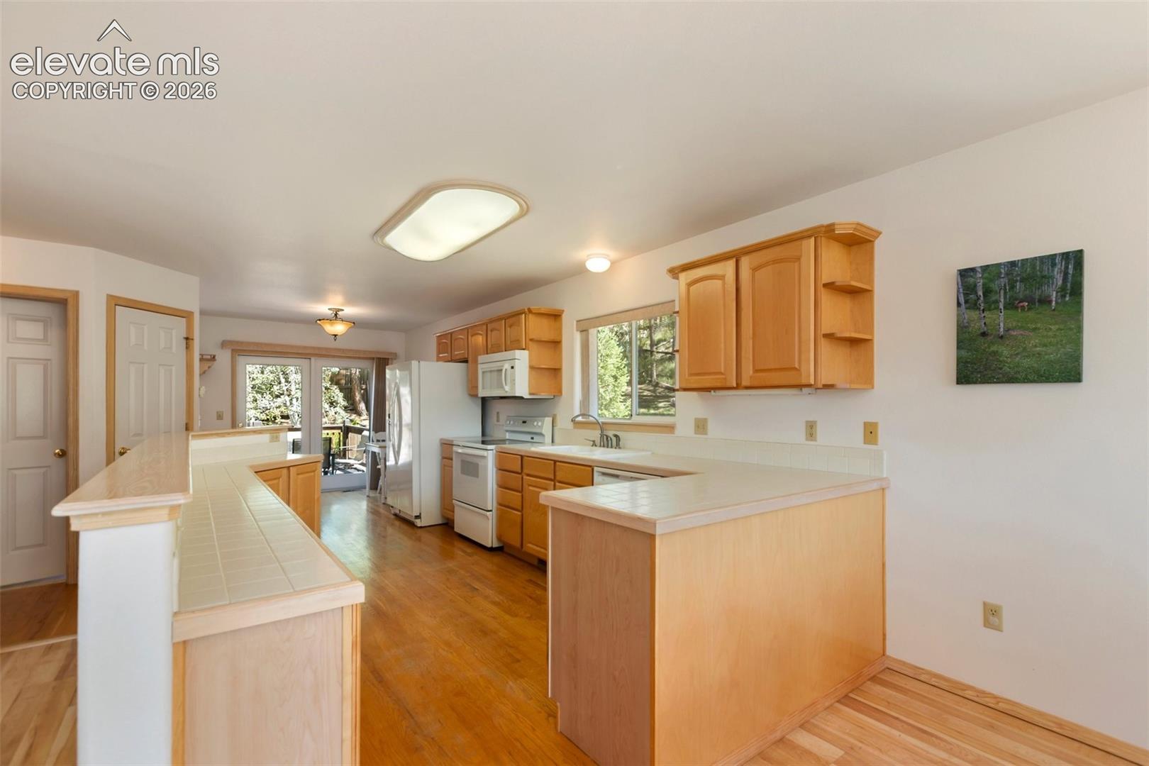 Photo 9 of 625 Sun Valley Drive, Woodland Park