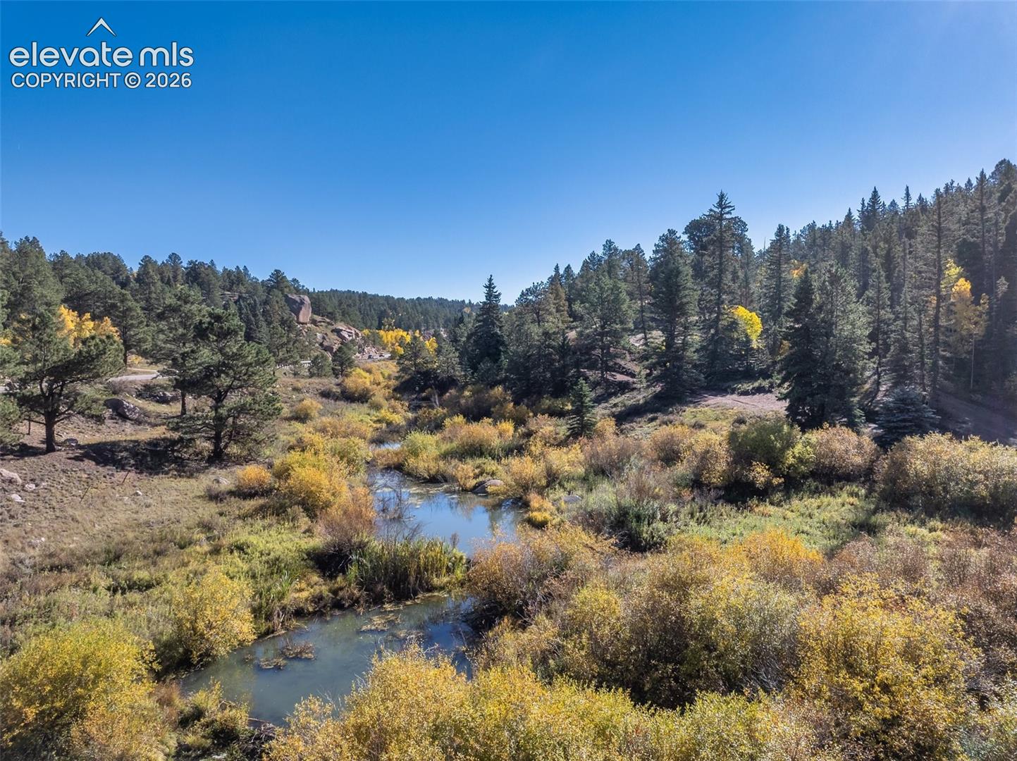 Riparian landscape with a winding creek, varied tree coverage, and natural rock formations