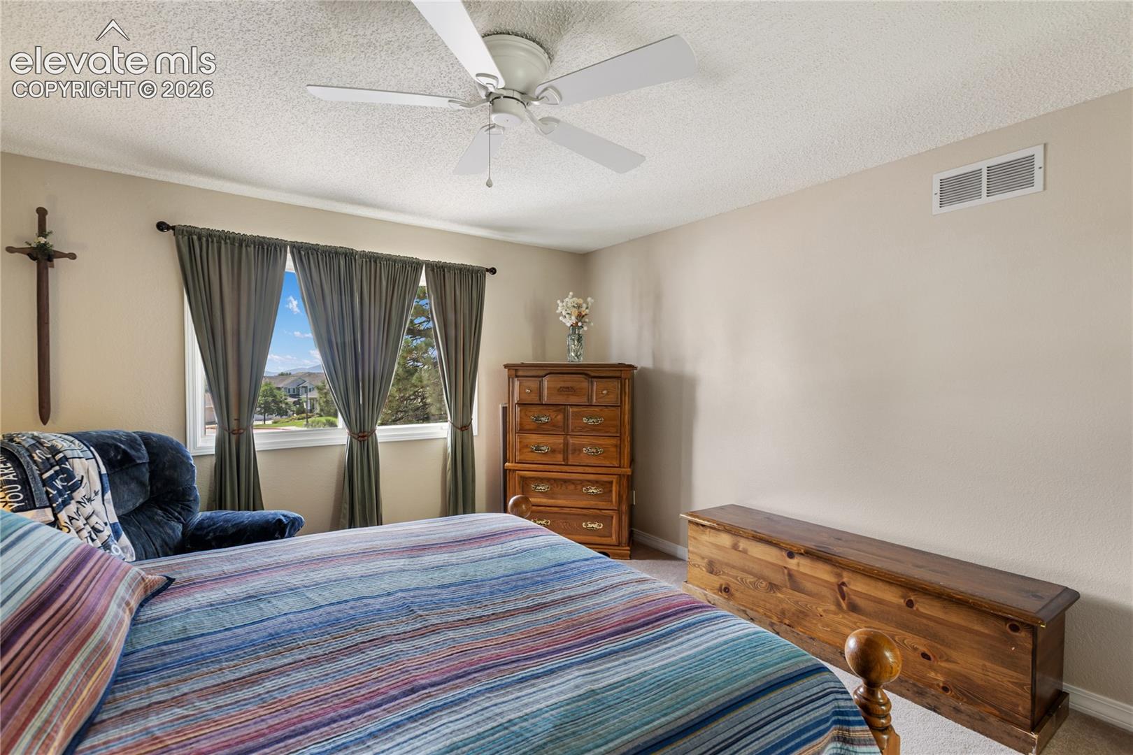 Photo 33 of 5114 Lewisia Point, Colorado Springs